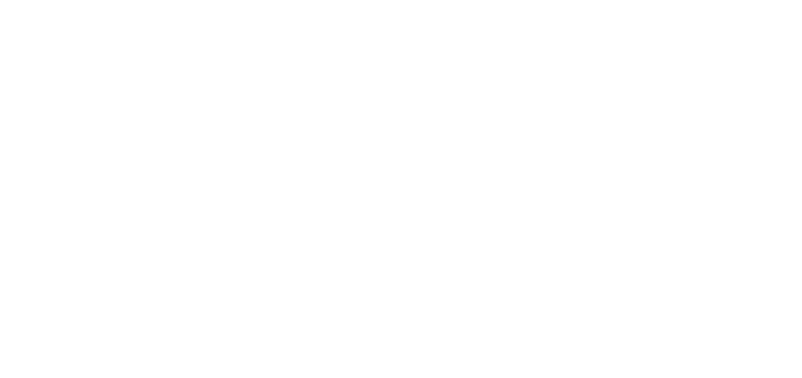 Illustration des toits de Lyon, ville d’origine de Moorea Créations